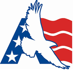 American Environmental Group - AEGL