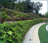 Vegetated Green Walls, Strata Systems