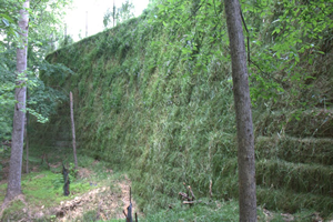 Photo: A geosynthetic-reinforced vegetated wall