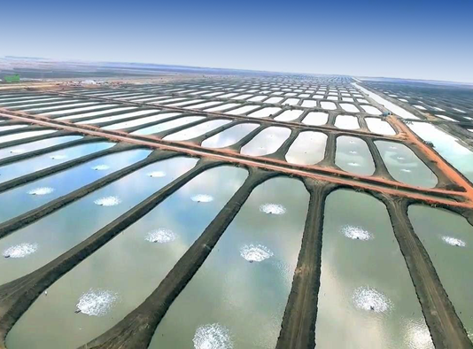 https://www.geosynthetica.com/wp-content/uploads/Solmax_PortSaid_FishFarm_700w-534x394.png